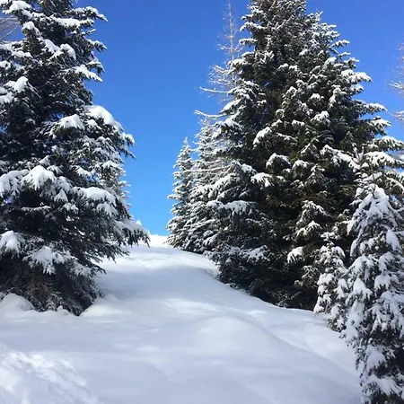 Appartement Dolomitenblick *